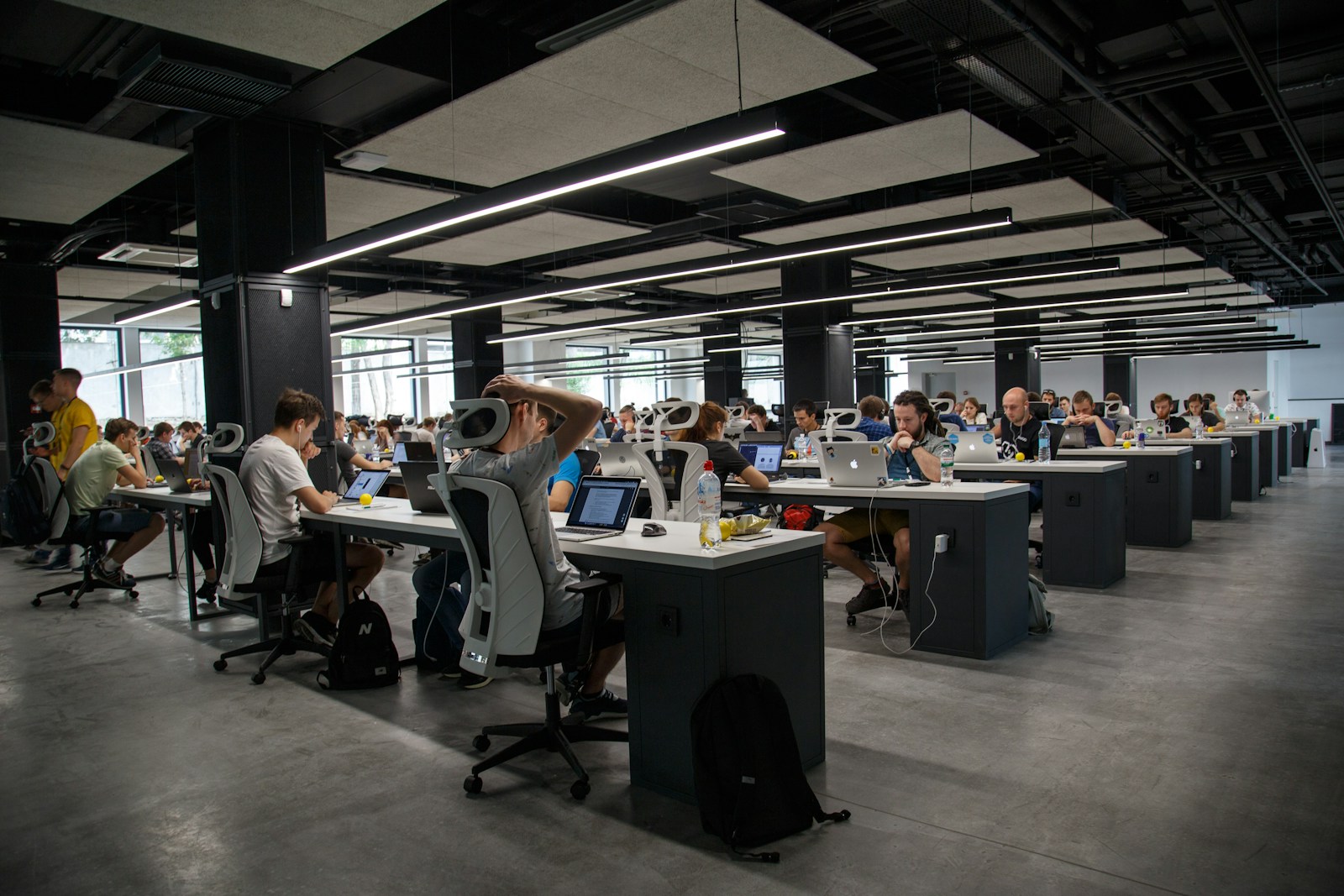 people doing office works, business